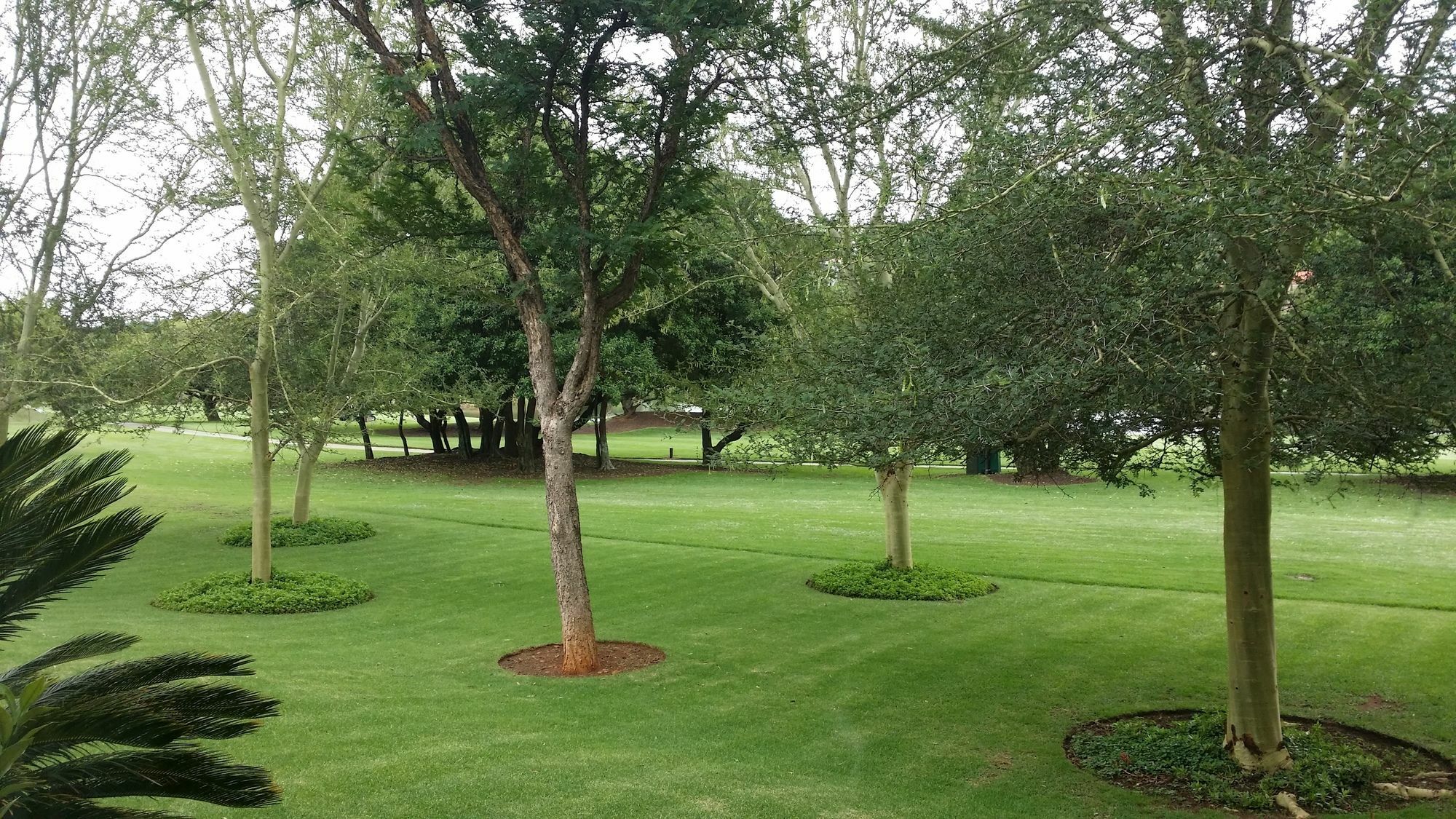 The Woodpecker Inn Pretoria Luaran gambar